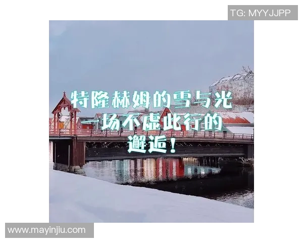 开车途中意外邂逅姚明那一刻的惊喜与感动