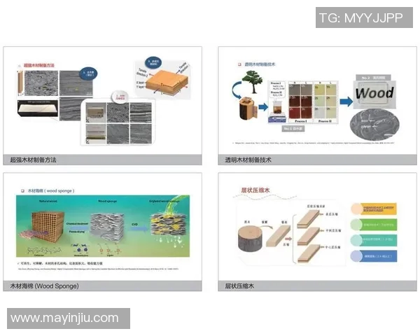 杭州篮球队控制策略解析及其对球队发展的影响探讨